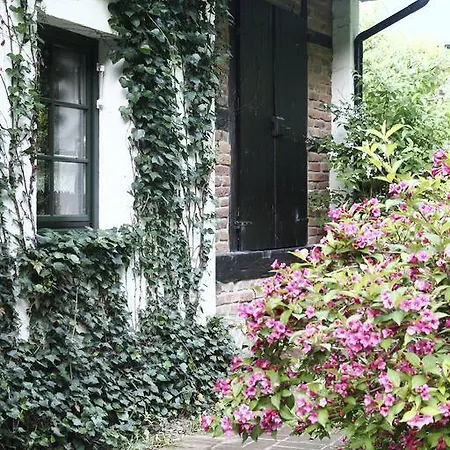 W Starym Domu * Srebrna Góra